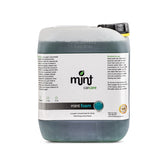 Mint Snow Foam